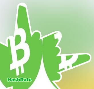Btc tx hash