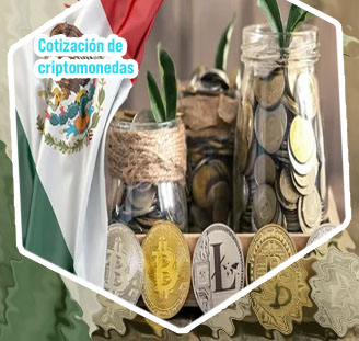 Las 5 criptomonedas