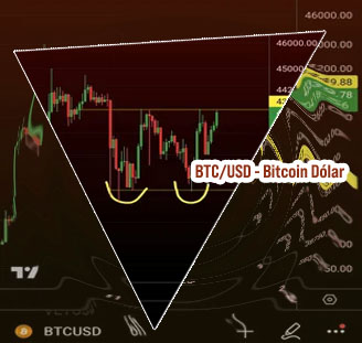 Precio btc dollar